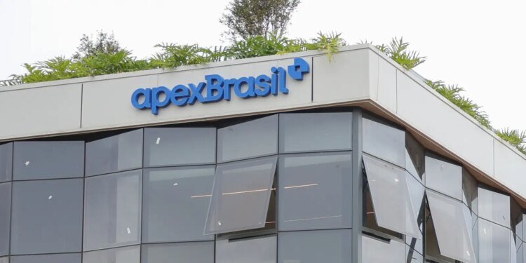 Tarifas dos EUA Impactam US$ 7,4 Bilhões em Exportações Brasileiras, com SP e SC Suportando 52%