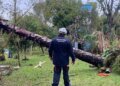 Defesa Civil: 17 Municípios do RS Reconhecidos em Situação de Emergência