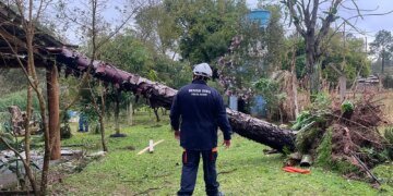 Defesa Civil: 17 Municípios do RS Reconhecidos em Situação de Emergência