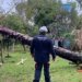 Defesa Civil: 17 Municípios do RS Reconhecidos em Situação de Emergência Defesa Civil: 17 Municípios do RS Reconhecidos em Situação de Emergência