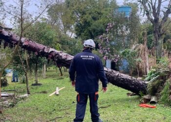 Eldorado do Sul: Chuvas Intensas Deixam 720 Desabrigados no Rio Grande do Sul