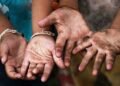 Apenas Três Estados Brasileiros Mantêm Planos Ativos Contra o Trabalho Infantil, Aponta Estudo