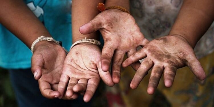 Apenas Três Estados Brasileiros Mantêm Planos Ativos Contra o Trabalho Infantil, Aponta Estudo Apenas Três Estados Brasileiros Mantêm Planos Ativos Contra o Trabalho Infantil, Aponta Estudo