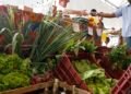 Reforma Tributária: Decreto adia exigência de CNPJ para autônomos e produtores rurais