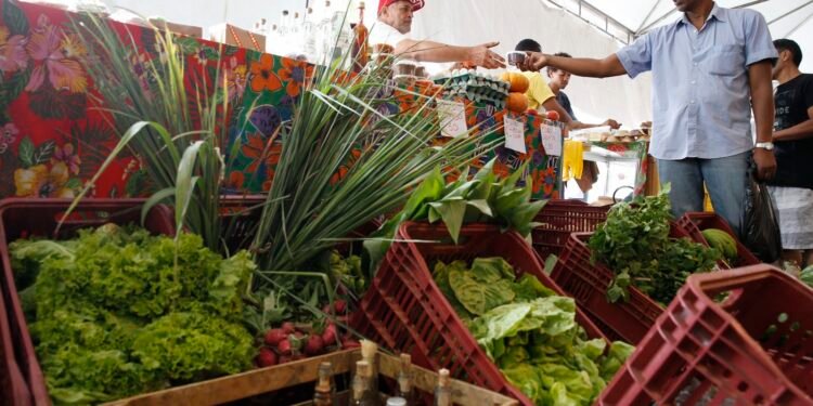 Reforma Tributária: Decreto adia exigência de CNPJ para autônomos e produtores rurais