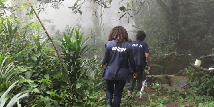 Processo Seletivo IBGE: Prazo Final para Inscrições do Censo Agropecuário Encerra Nesta Quinta-feira, às 14h