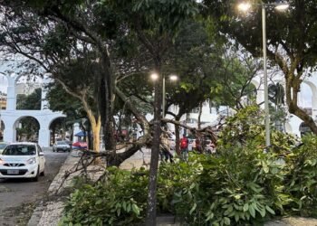 Vendaval no Rio: Milhares de Clientes da Light Sem Energia e Relatos de Prejuízos