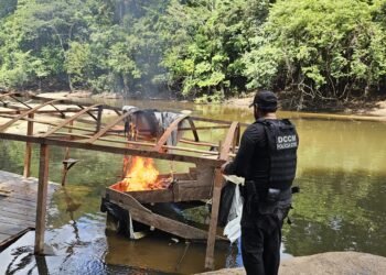 Operação contra crimes ambientais no AP desarticula garimpo ilegal e prende dois por porte de arma