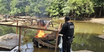 Operação contra crimes ambientais no AP desarticula garimpo ilegal e prende dois por porte de arma