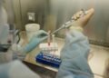A morte de uma pesquisadora russa especializada em peste explicada por um microbiologista