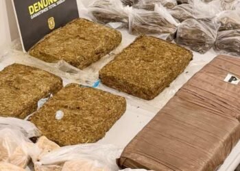 Polícia desarticula esquema de tráfico de drogas na Zona Sul de Macapá