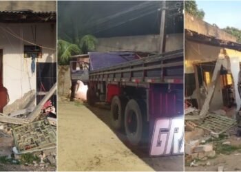 Motorista de caminhão bate na frente de casa no bairro Silvio Botelho