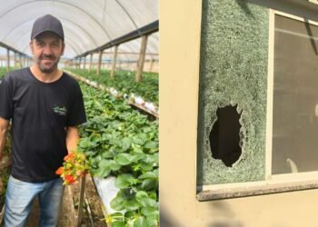 Sete PMs são denunciados pela morte de agricultor a tiros dentro de casa durante operação no RS