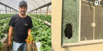 Sete PMs são denunciados pela morte de agricultor a tiros dentro de casa durante operação no RS
