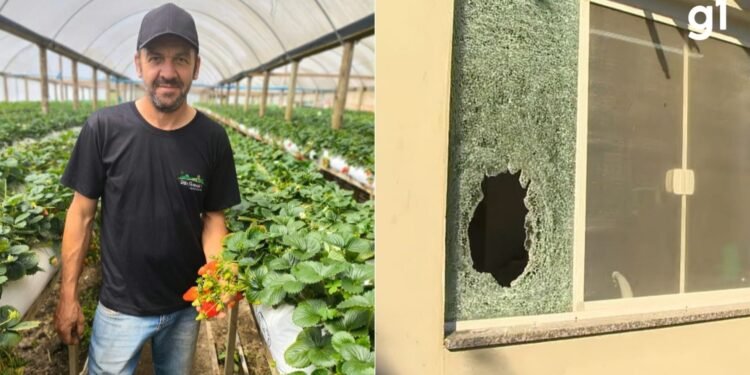 Sete PMs são denunciados pela morte de agricultor a tiros dentro de casa durante operação no RS