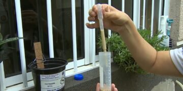 Dengue: Veja a lista de bairros com os piores índices larvários em São José dos Campos Dengue: Veja a lista de bairros com os piores índices larvários em São José dos Campos