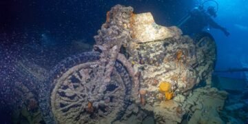 O que existe debaixo das águas do Mar Vermelho? Mergulhadores brasileiros fazem fotos surpreendentes