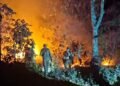 Prefeitura de Santarém pede ajuda à Polícia Civil para investigar incêndios criminosos